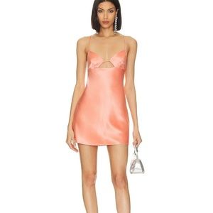 Retrofete mini dress NWT